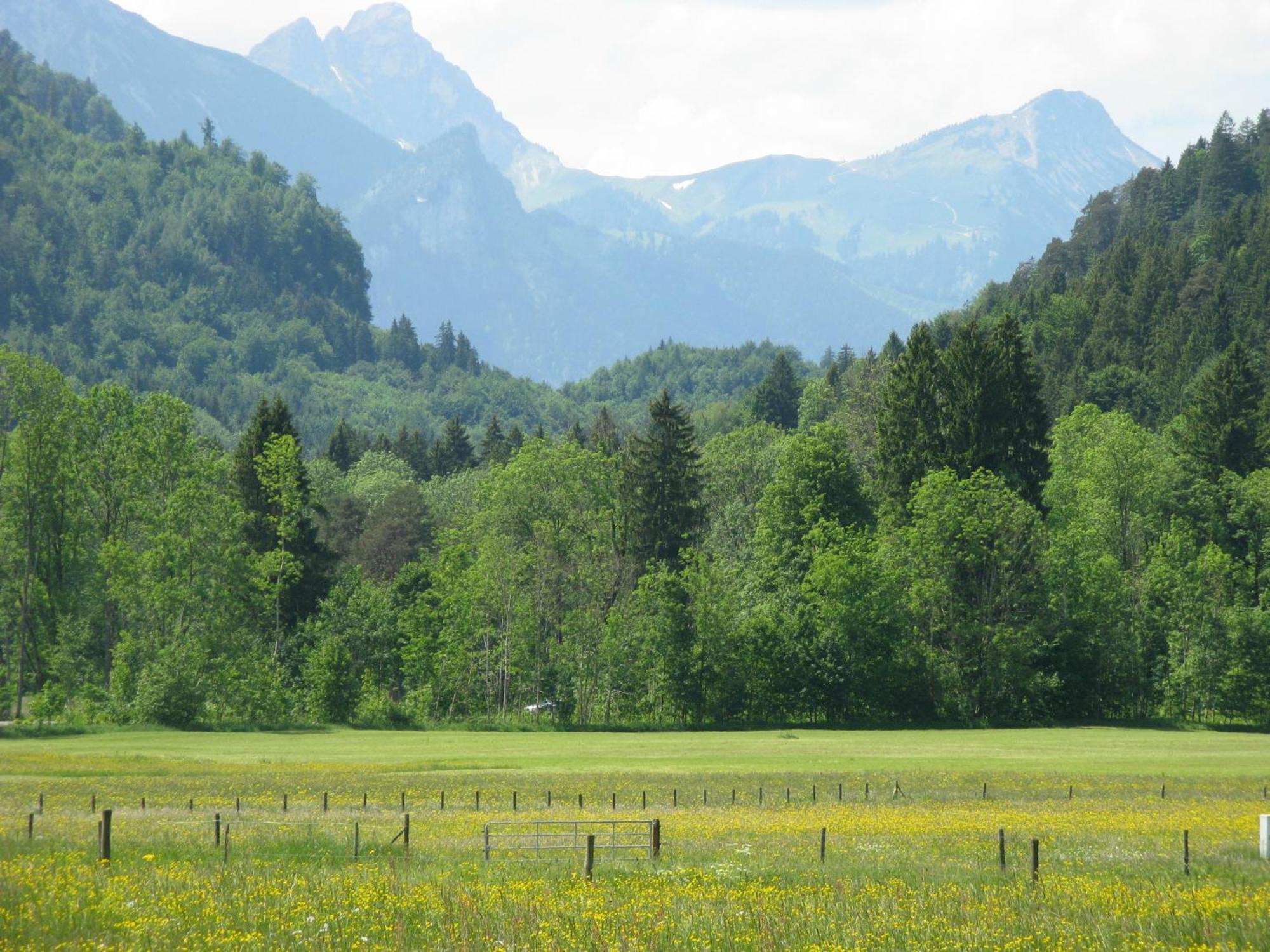 Alpenhotel Allgaeu Hohenschwangau Exterior foto